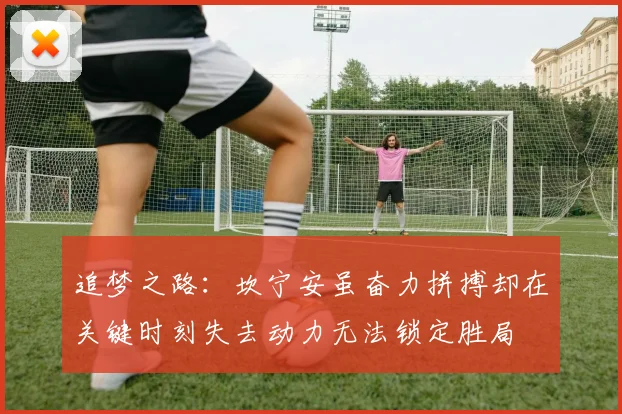 追梦之路：坎宁安虽奋力拼搏却在关键时刻失去动力无法锁定胜局