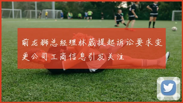 前龙狮总经理林葳提起诉讼要求变更公司工商信息引发关注